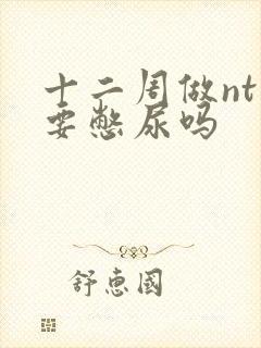 十二周做nt需要憋尿吗