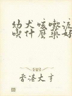 幼犬咳嗽流鼻涕吃什么药好得快