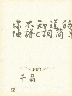 你不知道的事吉他谱c调简单版