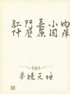 肛门长小肉球是什么原因痒