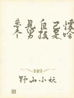 梦见自己怀孕生个男孩是啥预兆