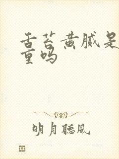 舌苔黄腻是湿气重吗