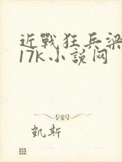 近战狂兵梁七少17k小说网