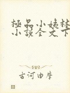 极品小姨林浩云小说全文下载