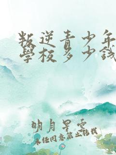 叛逆青少年封闭学校多少钱