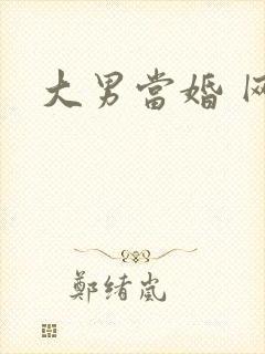 大男当婚 网盘