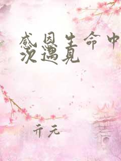 感恩生命中每一次遇见