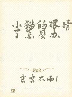 小猫的眼睛流脓了怎么办