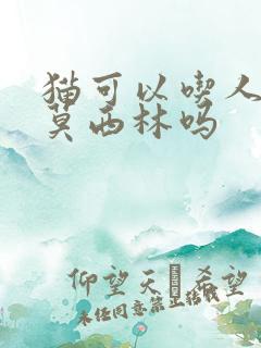 猫可以吃人的阿莫西林吗