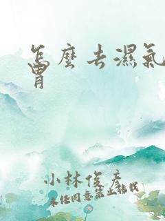 怎么去湿气调脾胃