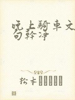 晚上骑车文案短句干净