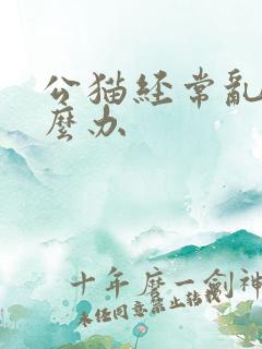 公猫经常乱尿怎么办