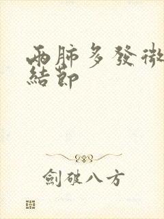 两肺多发微小实结节