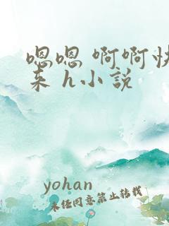 嗯嗯 啊啊快进来 h小说