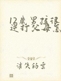 12岁男孩很叛逆打父母怎么办