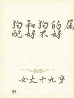 狗和狗的属相婚配好不好