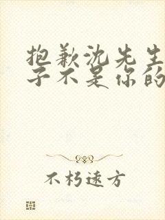 抱歉沈先生,孩子不是你的短剧大结局