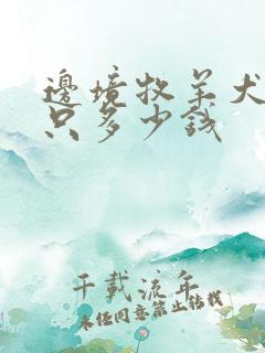 边境牧羊犬犬一只多少钱