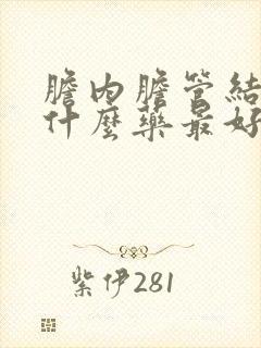 胆内胆管结石吃什么药最好