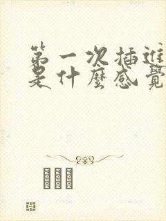 第一次插进阴道是什么感觉