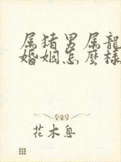 属猪男属龙女的婚姻怎么样