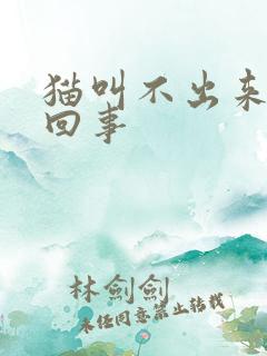 猫叫不出来怎么回事