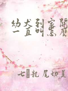 幼犬到家关笼子一直叫怎么办