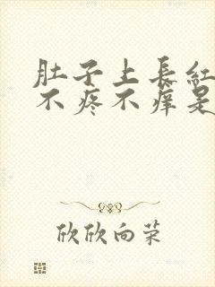 肚子上长红疙瘩不疼不痒是什么原因