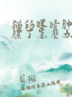 猫的眼睛肿了流脓了怎么办