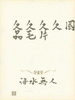 久久久久国产精品毛片