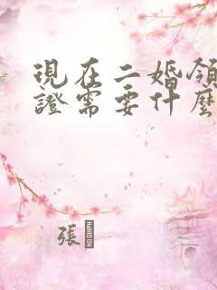 现在二婚领结婚证需要什么证件