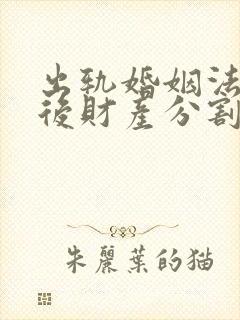 出轨婚姻法离婚后财产分割