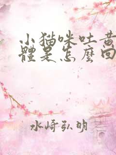 小猫咪吐黄色液体是怎么回事