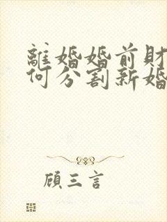 离婚婚前财产如何分割新婚姻法