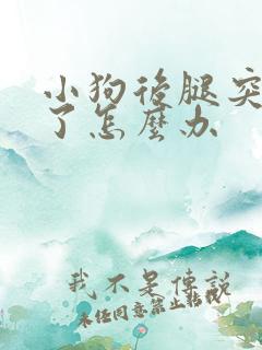 小狗后腿突然瘸了怎么办