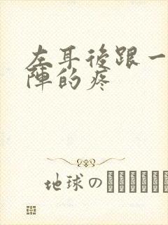 左耳后跟一阵一阵的疼