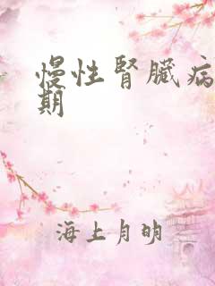 慢性肾脏病,5期