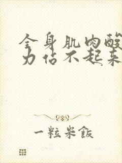 全身肌肉酸痛无力站不起来