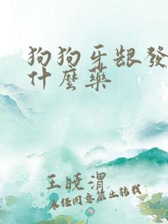 狗狗牙龈发炎吃什么药