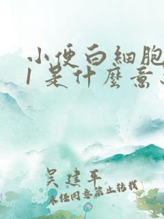 小便白细胞酯酶1 是什么意思