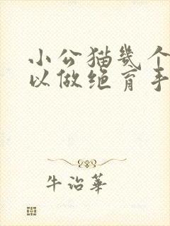 小公猫几个月可以做绝育手术