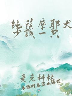 纯萨摩耶犬狗多少钱一只