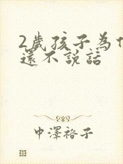 2岁孩子为什么还不说话