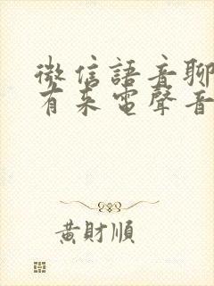 微信语音聊天没有来电声音