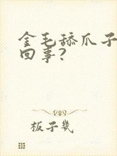 金毛舔爪子怎么回事?