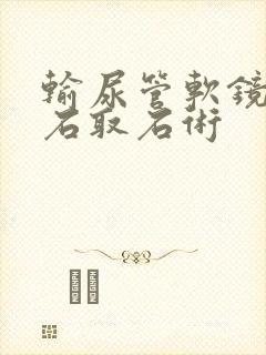 输尿管软镜下碎石取石术