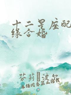 十二星座配对姻缘合婚