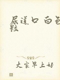 尿道口 白色肉粒