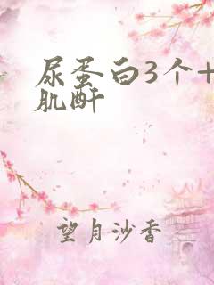 尿蛋白3个+号肌酐