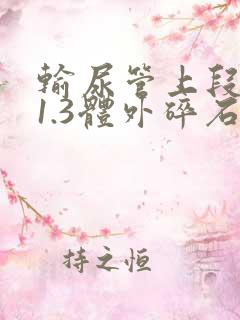 输尿管上段结石1.3体外碎石可以吗